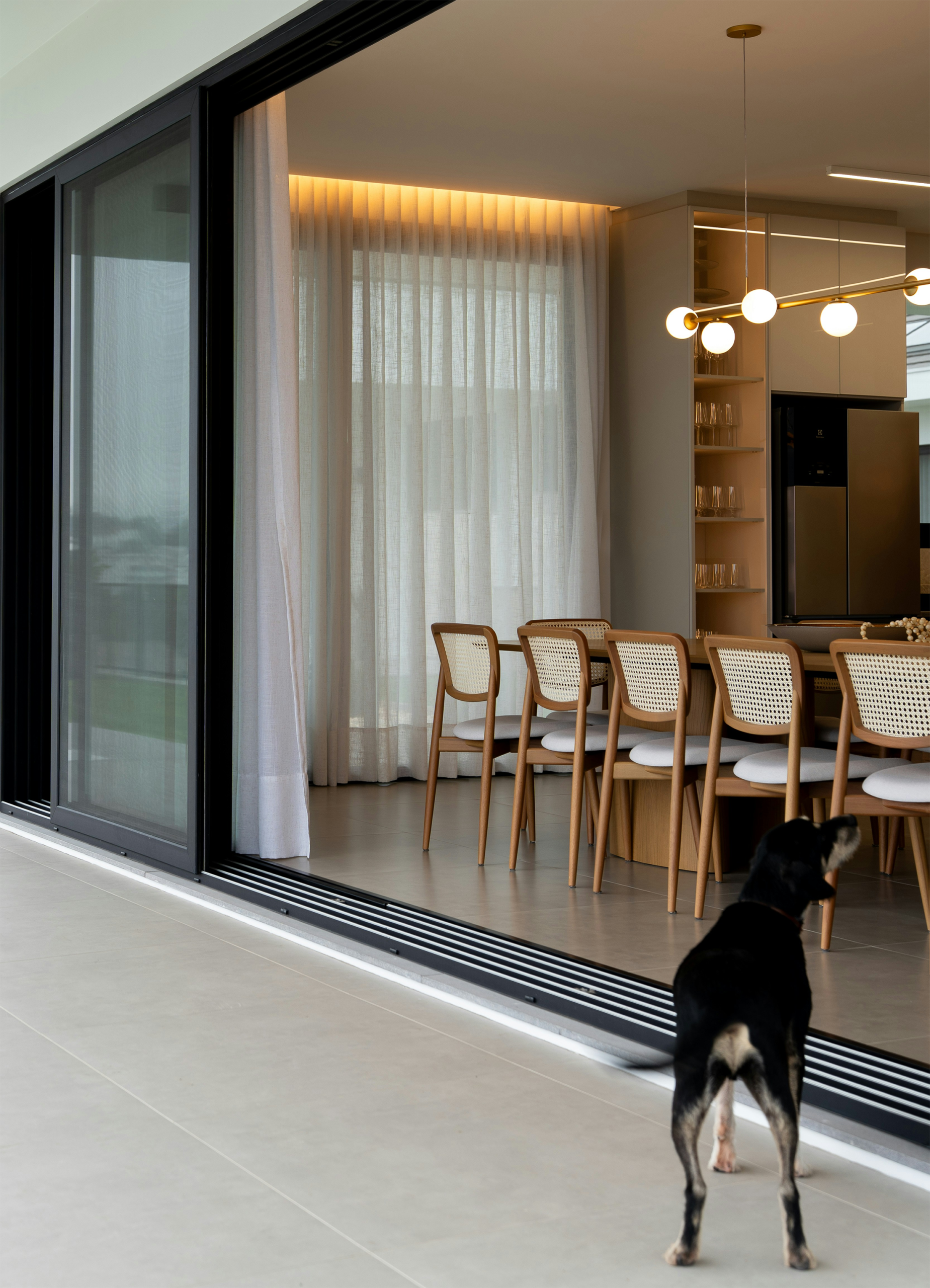 Table chairs with dog