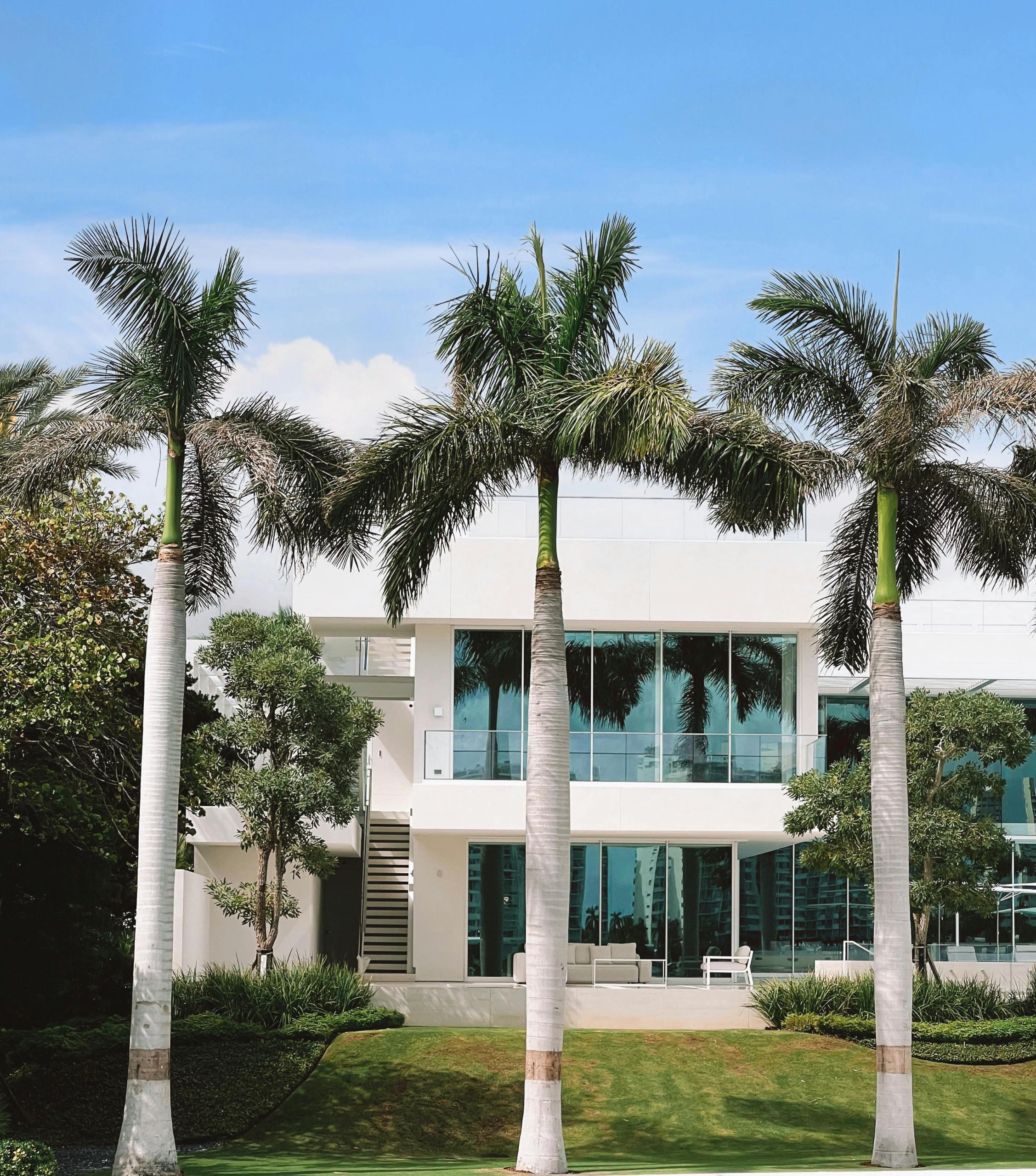 House on palm